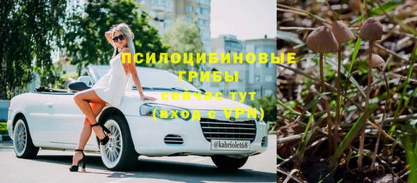 дживик Остров