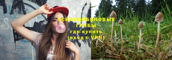 молекула духа Баксан